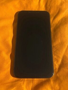 iPhone 13 Pro Max 256GB Unlocked